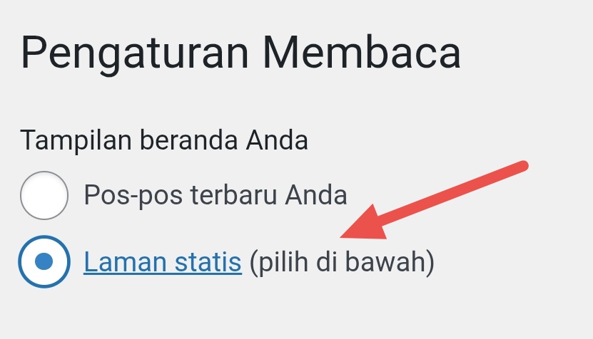 Laman statis WordPress