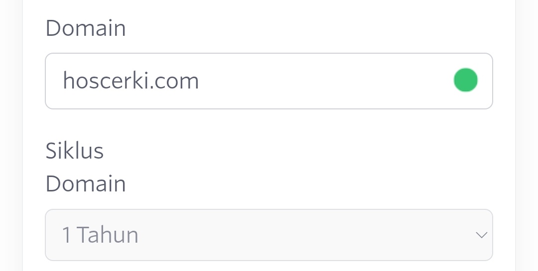Nama Domain