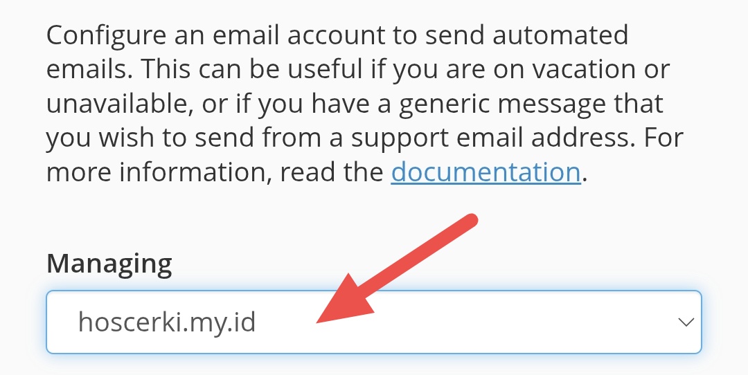 Domain autoresponder