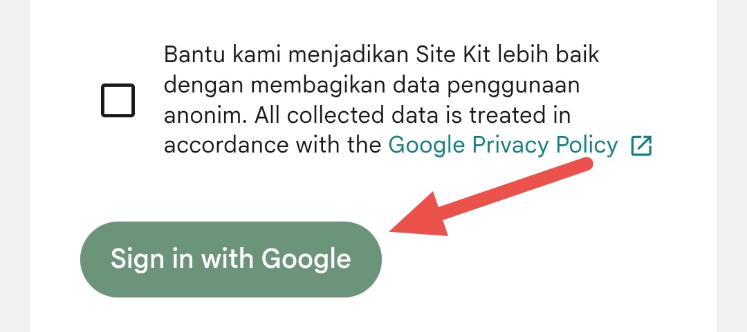 Sign in with Google