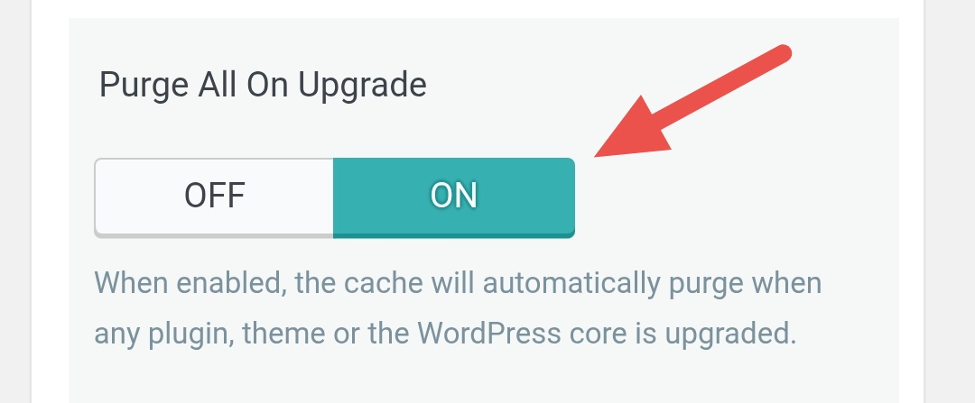 Purge All On Upgrade