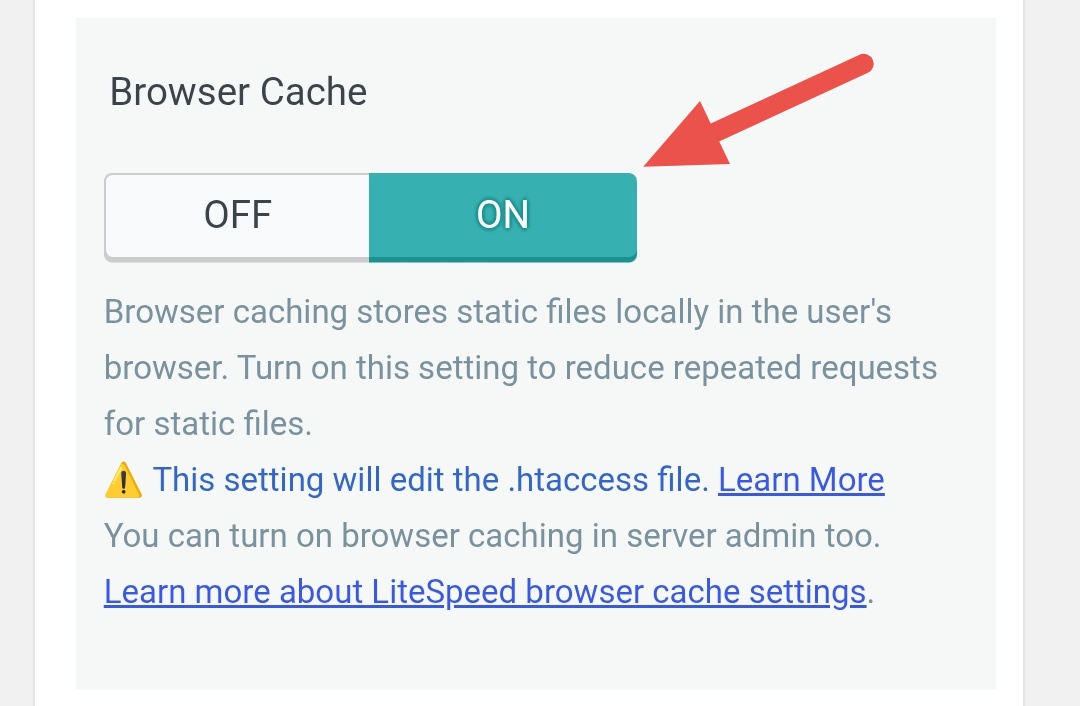 Browser Cache