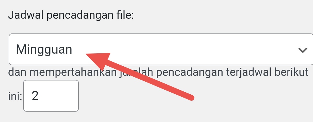 Mingguan backup file