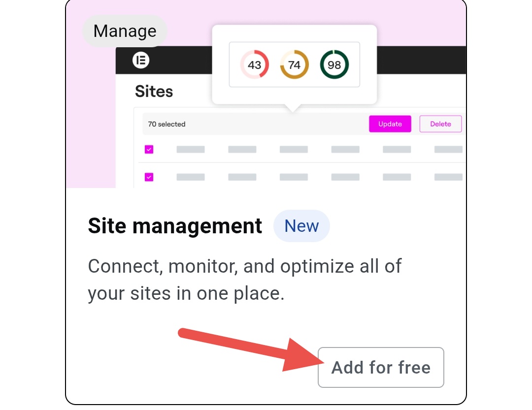 Site Management